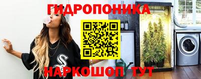 дмт Краснодар