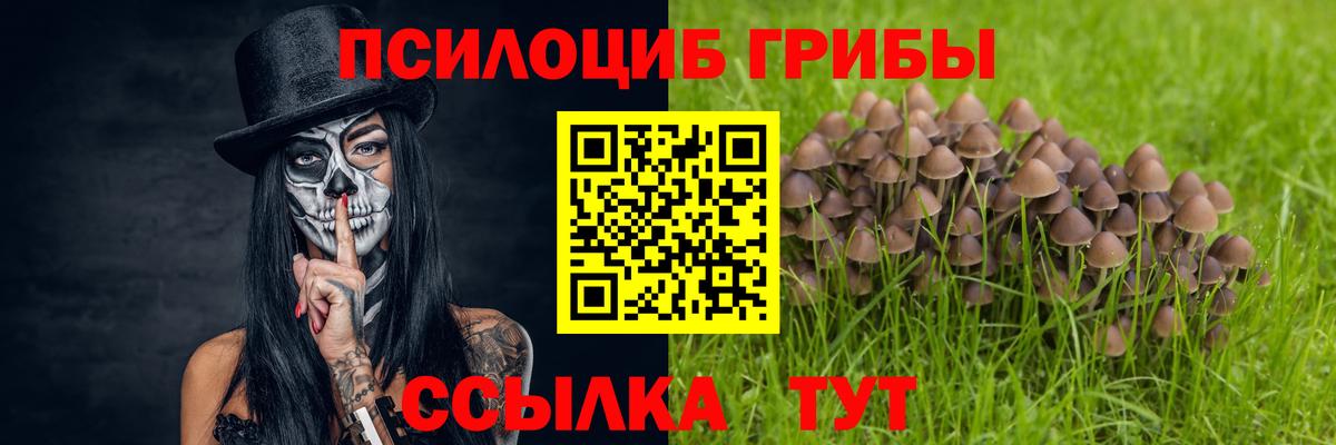 Галлюциногенные грибы мицелий  Псилоцибиновые грибы прущие грибы  Вход с VPN  Шали 